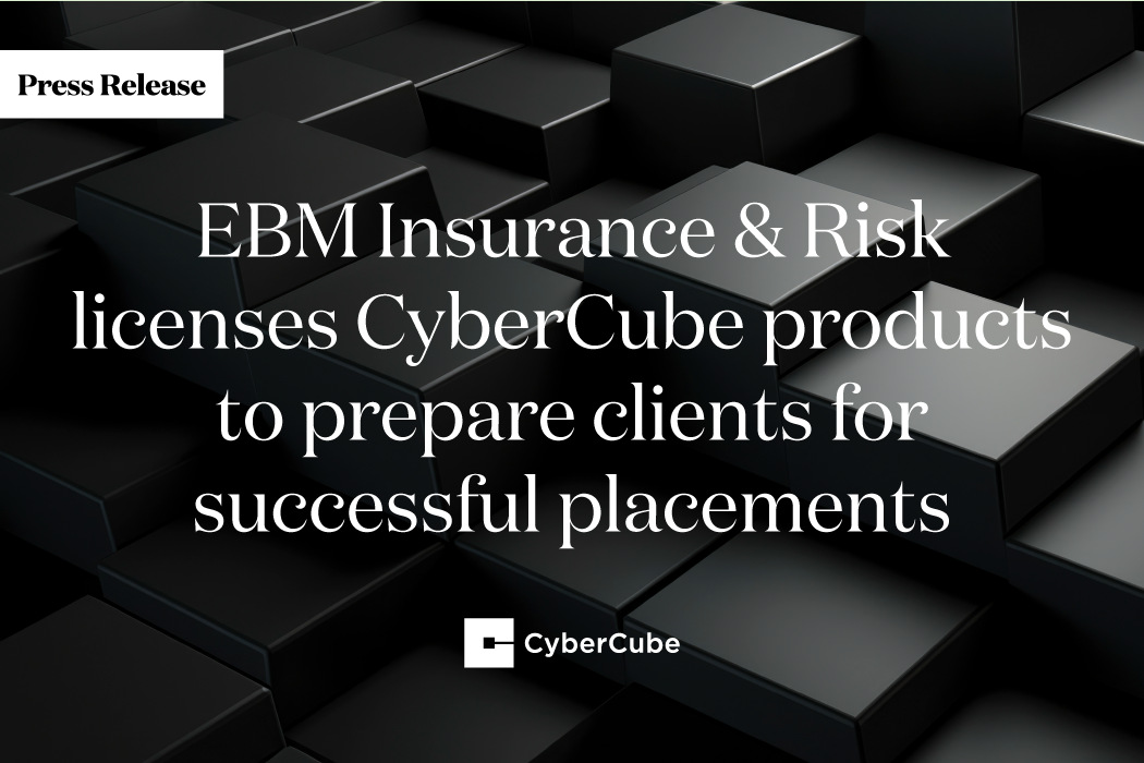 ebm insurance cybercube